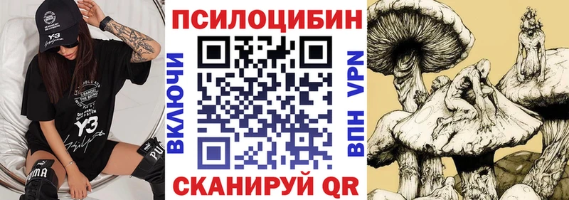 Псилоцибиновые грибы Cubensis  купить закладку  Аргун 