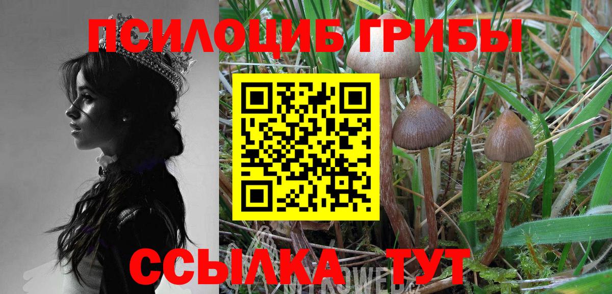Псилоцибиновые грибы MAGIC MUSHROOMS  Вход с VPN  Аргун 