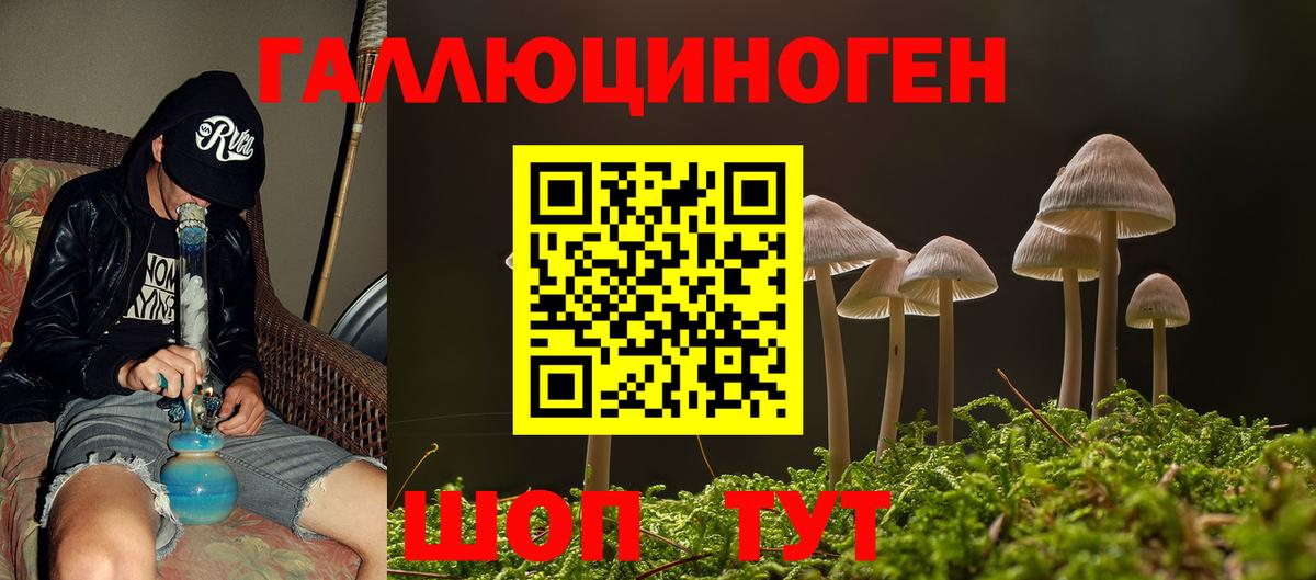 Псилоцибиновые грибы мухоморы Аргун