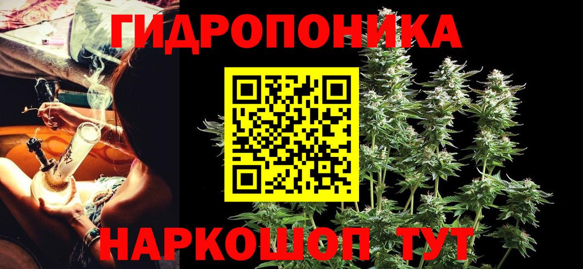 Бошки марихуана OG Kush Аргун